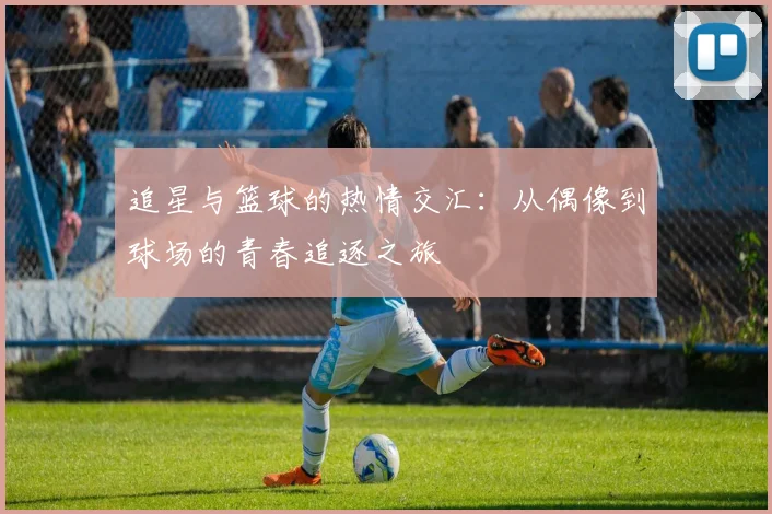 追星与篮球的热情交汇：从偶像到球场的青春追逐之旅