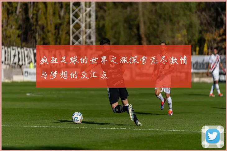 疯狂足球的世界之旅探索无尽激情与梦想的交汇点