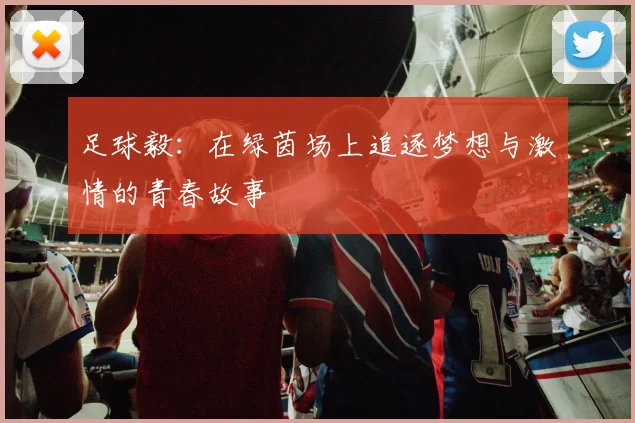 足球毅：在绿茵场上追逐梦想与激情的青春故事