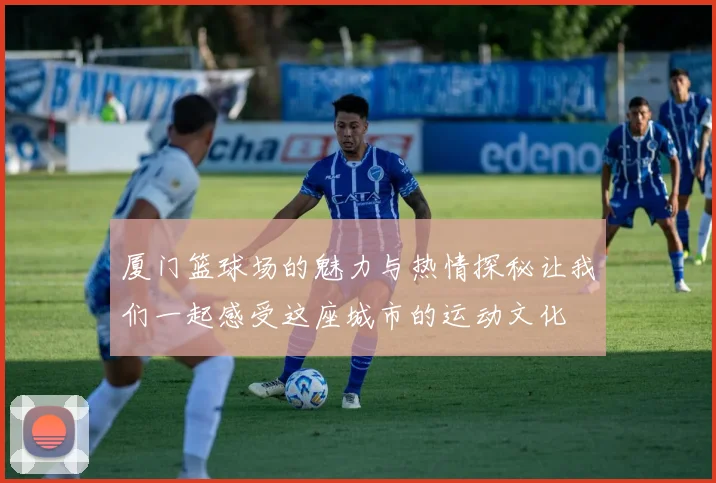 厦门篮球场的魅力与热情探秘让我们一起感受这座城市的运动文化