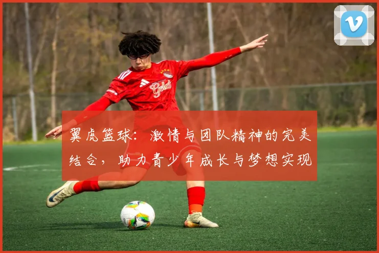 翼虎篮球：激情与团队精神的完美结合，助力青少年成长与梦想实现