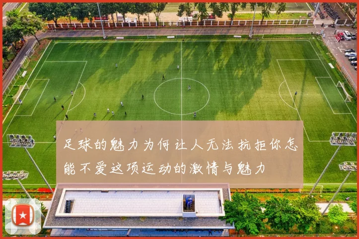 足球的魅力为何让人无法抗拒你怎能不爱这项运动的激情与魅力